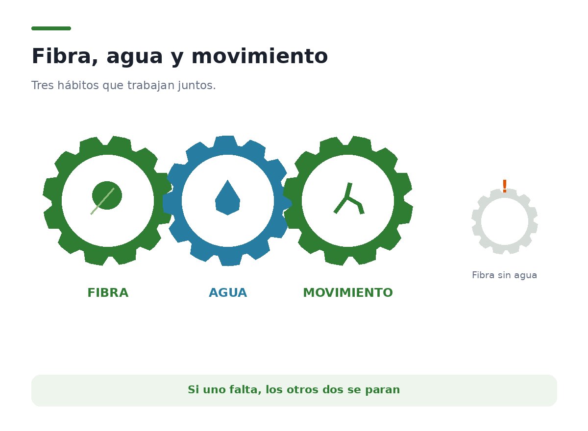 Tres engranajes conectados etiquetados fibra, agua y movimiento, con un aviso de que si uno falta los otros dos se atascan
