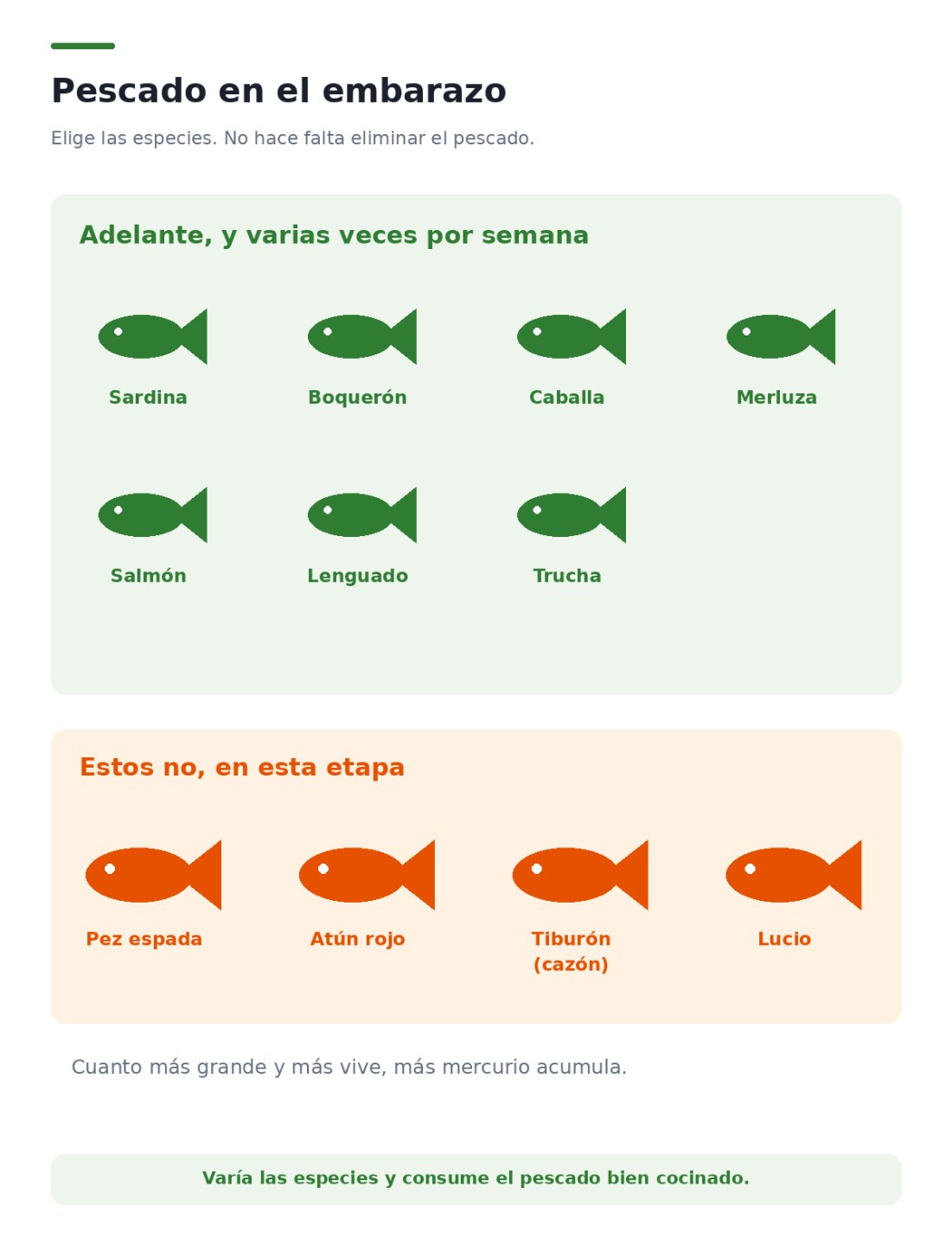 Dos grupos de pescados: a un lado sardina, boquerón, caballa, merluza, salmón y lenguado como recomendados; al otro pez espada, atún rojo, tiburón y lucio como los que se evitan por mercurio