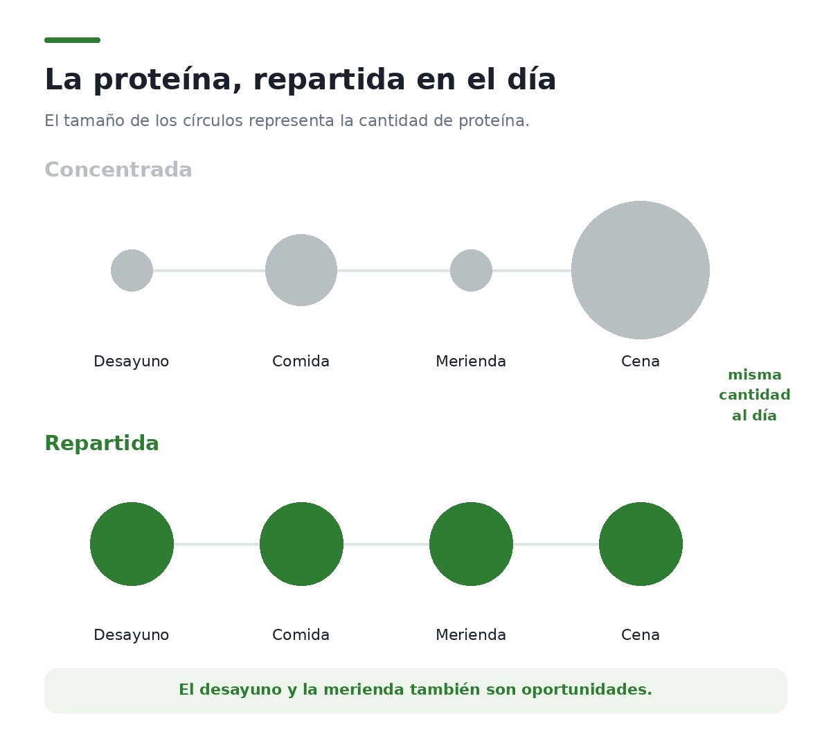 Comparación de dos días: en uno la proteína se concentra casi toda en la cena; en el otro está repartida entre desayuno, comida, merienda y cena